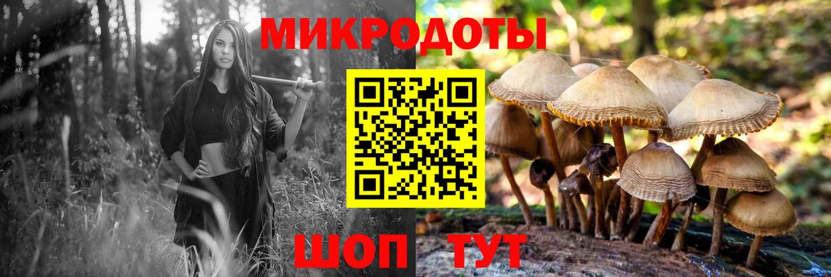 Ярославль  где можно купить наркотик  Вход с VPN  Галлюциногенные грибы Magic Shrooms  Псилоцибиновые грибы прущие грибы 