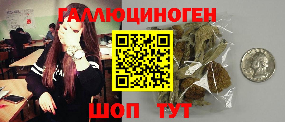 Галлюциногенные грибы прущие грибы Ярославль
